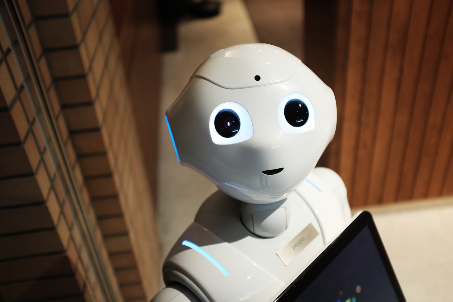 Cómo Mega impulsa la innovación tecnológica global