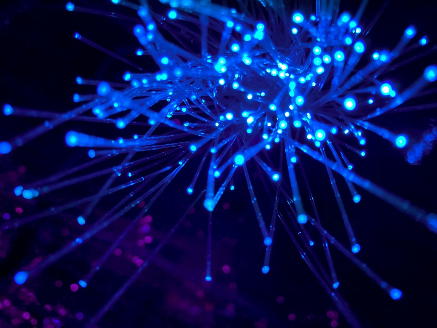 Mega: Pioneros en soluciones tecnológicas integrales