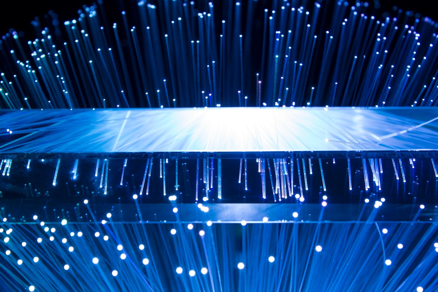 Mega y su visión del futuro tecnológico global